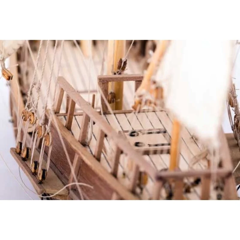 PINTA 5 PINTA - Afbeelding 5