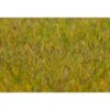 Faller PREMIUM Ground Cover Fibres, Meadow, Long, Light Green, 30 G