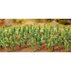 Faller 36 Maize Plants