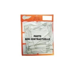 Zeilt Voor Royal Sun